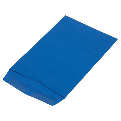 JAM Paper 6" x 9" Open End Catalog Envelopes, Presidential Blue, 10/Pack (363913003C)