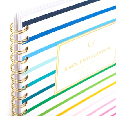 2025-2026 AT-A-GLANCE Simplified by Emily Ley Happy Stripe 8.5" x 11" Academic Year Weekly & Monthly Planner, Plastic Cover