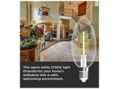 Viribright 2.5-Watt Daylight LED Specialty Bulb, 12/Pack (650194)