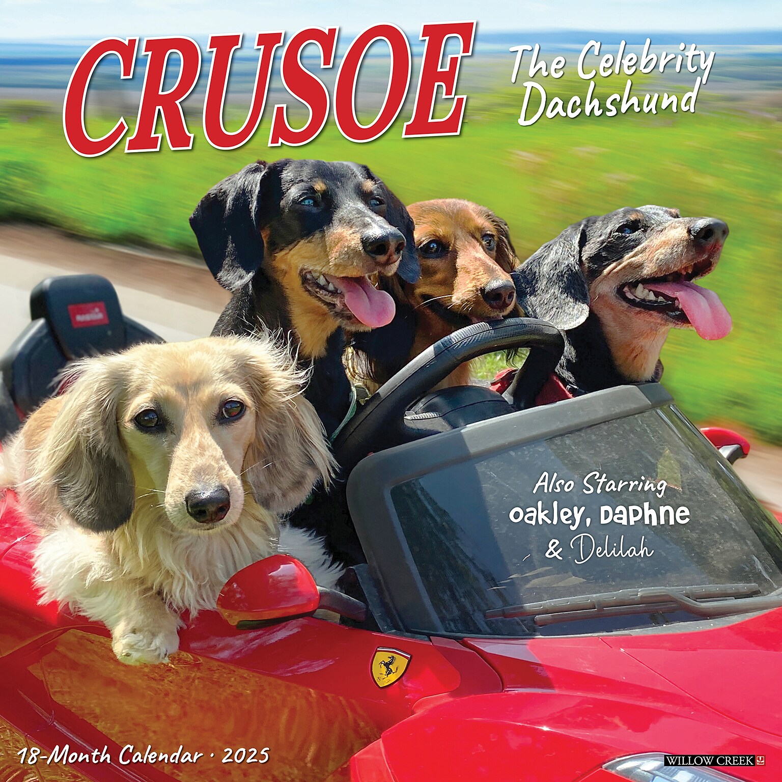 2025 Willow Creek Crusoe the Celebrity Dachshund 12 x 12 Monthly Wall Calendar (42632)