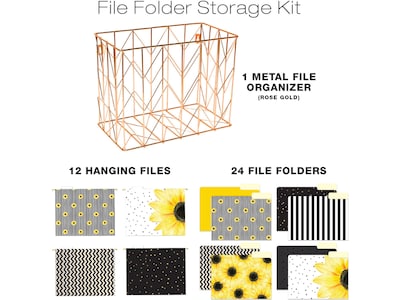 Global Printed Products Deluxe Designer Sunflower Hanging File Folder Kit, 1/3-Cut Tab, Letter Size,