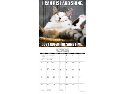 2025 Willow Creek Cat-astrophe 12" x 12" Monthly Wall Calendar (42212)