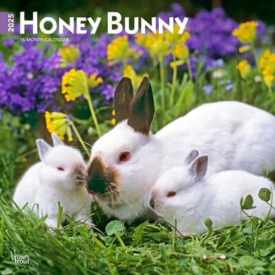 2025 BrownTrout Honey Bunny 12 x 12 Monthly Wall Calendar (9781975474911)