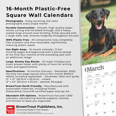 2025 BrownTrout Dobermans 12" x 24" Monthly Square Wall Calendar, (9781975476939)