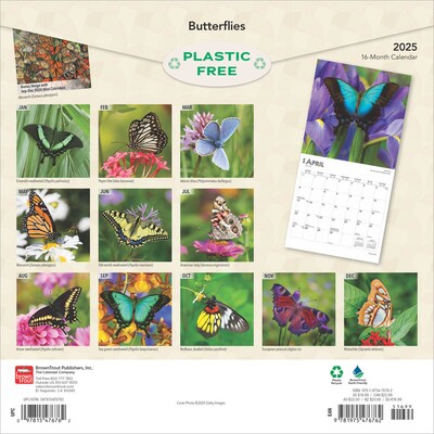 2025 BrownTrout Butterflies 12" x 12" Monthly Wall Calendar (9781975476762)