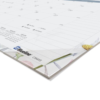 2025 Blueline Passion 22 x 17 Monthly Desk Pad Calendar, Multicolor (C194113)