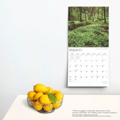 2025 BrownTrout Great Smokies 12" x 12" Monthly Wall Calendar (9781975474881)