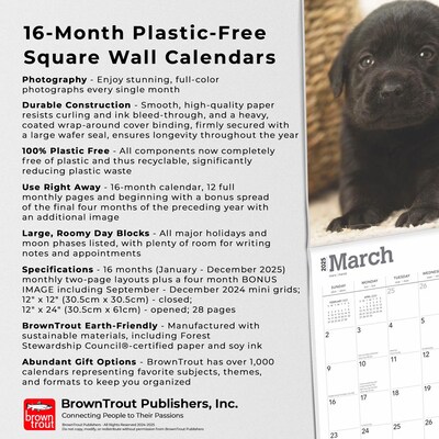 2025 BrownTrout Black Labrador Retriever Puppies 12" x 12" Monthly Wall Calendar (9781975477318)