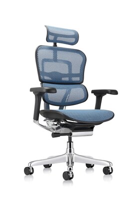 Eurotech Ergohuman Gen2 High Back Mesh Office Chair w/ Headrest, Blue (ME7ERG-GEN2-BLU)