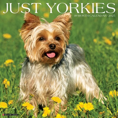 2025 Willow Creek Just Yorkies 12 x 12 Monthly Wall Calendar (45558)