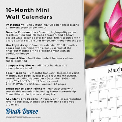 2025 Brush Dance Mindful Living 7" x 14" Monthly Mini Wall Calendar, (9781975478629)