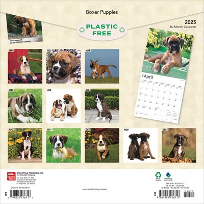 2025 BrownTrout Boxer Puppies 12 x 12 Monthly Wall Calendar (9781975476717)