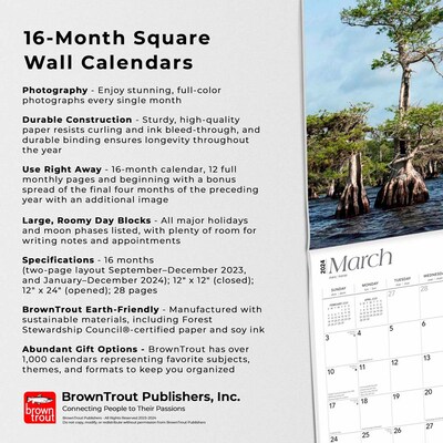 2024 BrownTrout Florida Wild & Scenic 12" x 24" Monthly Wall Calendar (9781975462727)