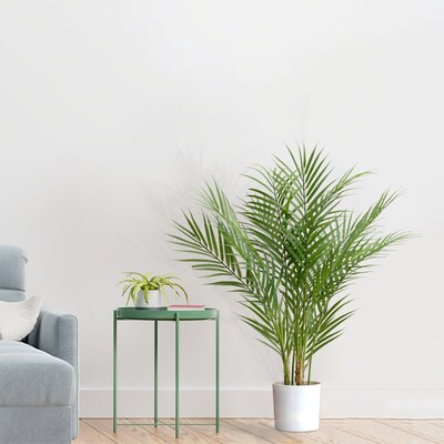 Forever Leaf 30" Artificial Palm Tree in Black Pot (FEV-PAL30)