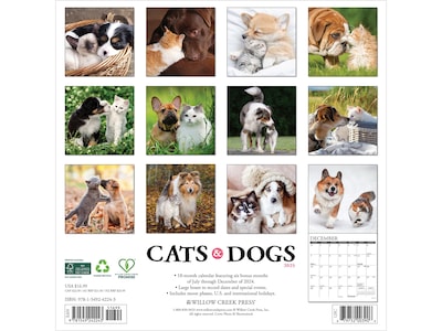 2025 Willow Creek Cats & Dogs 12" x 12" Monthly Wall Calendar (42243)