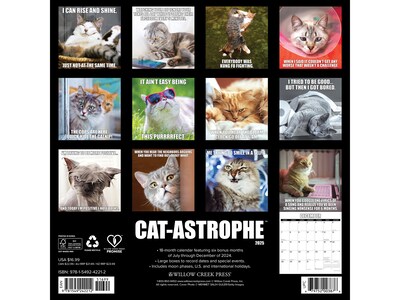 2025 Willow Creek Cat-astrophe 12 x 12 Monthly Wall Calendar (42212)