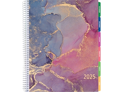 2025 Global Printed Products 8.5 x 11 Calendar Year Weekly & Monthly Planner, Plastic Cover, Purpl