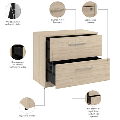 Bush Business Furniture Vista 2 Drawer File Cabinet, Natural Elm (VSF136NESU)