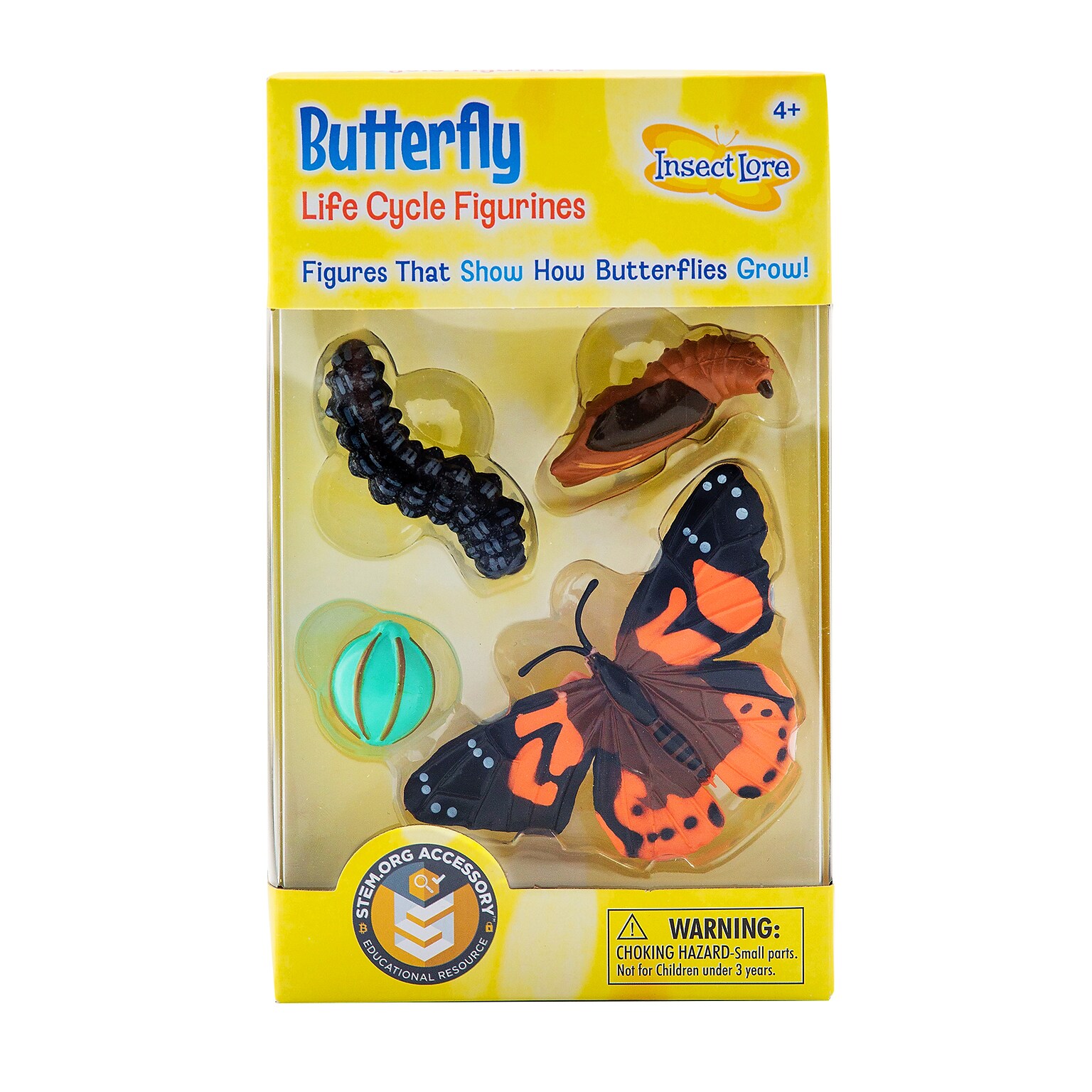 Butterfly Life Cycle Stages