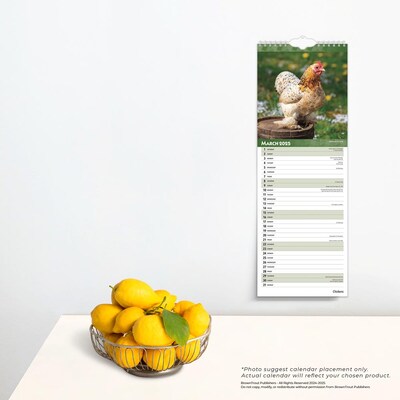 2025 BrownTrout Chickens 7" x 12" Monthly Slimline Wall Calendar (9781975478483)