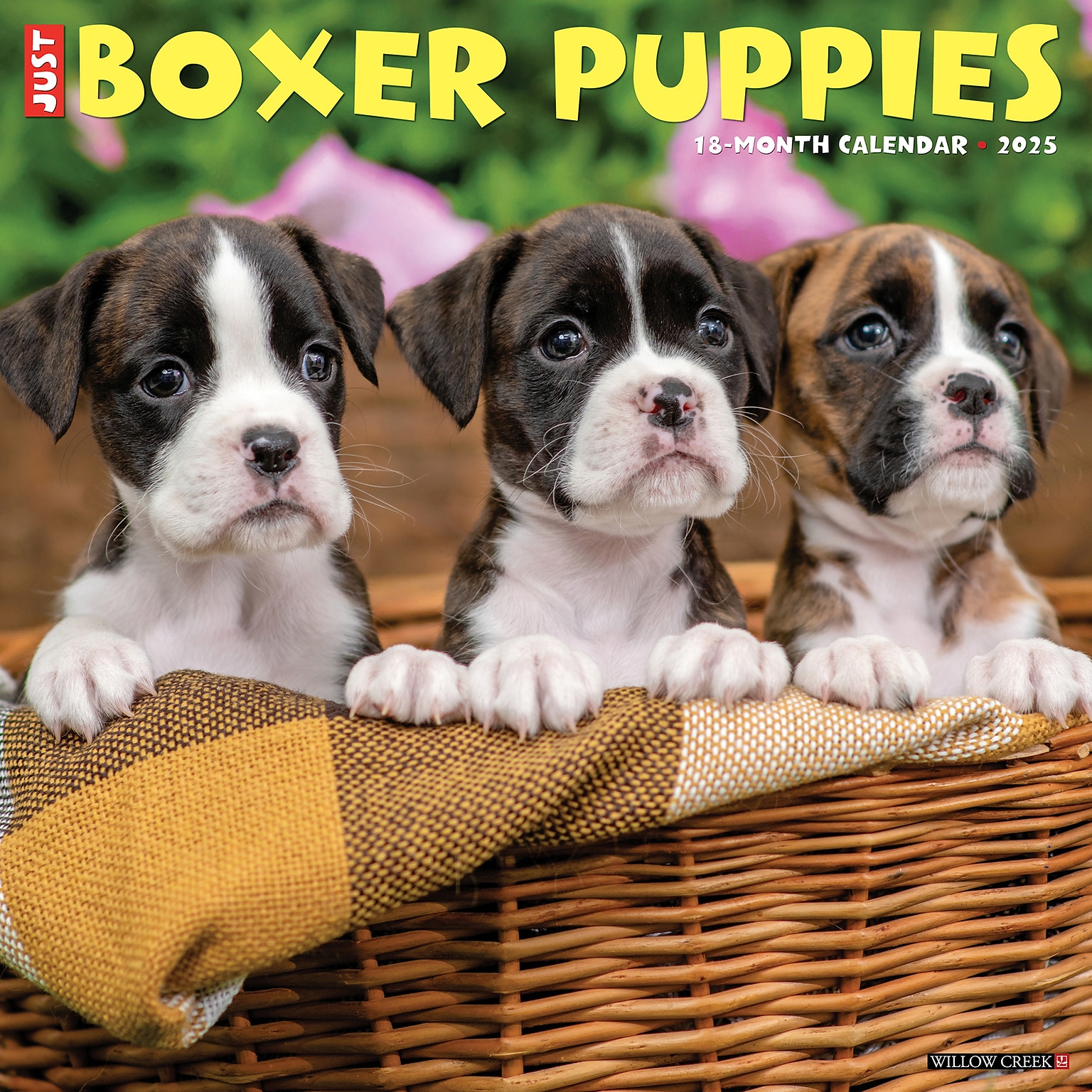 2025 Willow Creek Just Boxer Puppies 12 x 12 Monthly Wall Calendar, Multicolor (41932)