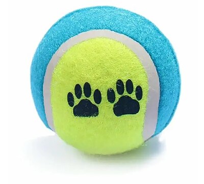 Ruff Stuff 2 Pack Pet Play Tennis Balls