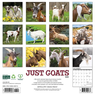 2025 Willow Creek Just Goats 12 x 12 Monthly Wall Calendar (43073)