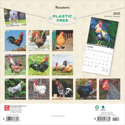 2025 BrownTrout Roosters 12 x 12 Monthly  Wall Calendar (9781975477639)