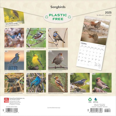 2025 BrownTrout Songbirds 12" x 12" Monthly Square Wall Calendar (9781975477806)