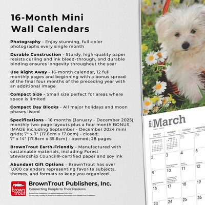 2025 BrownTrout Maltese 7" x 7" Monthly Mini Wall Calendar (9781975473747)