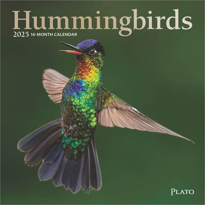 2025 Plato Hummingbirds 7 x 14 Monthly Mini Wall Calendar, (9781975479008)