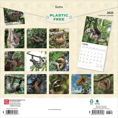 2025 BrownTrout Sloths 12 x 12 Monthly Square Wall Calendar (9781975475703)