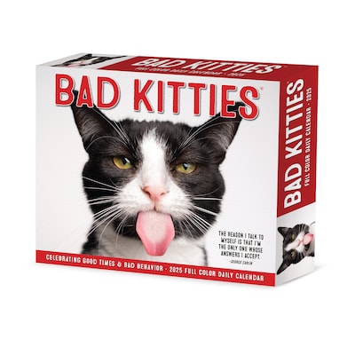 2025 Willow Creek Bad Kitties 6.2 x 5.4 Day-to-Day Calendar (40638)