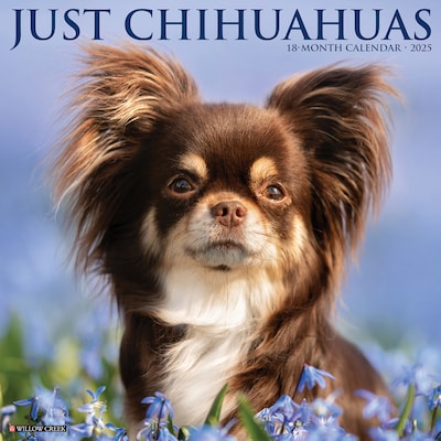 2025 Willow Creek Chihuahuas 12 x 12 Yearly Wall Calendar (42328)