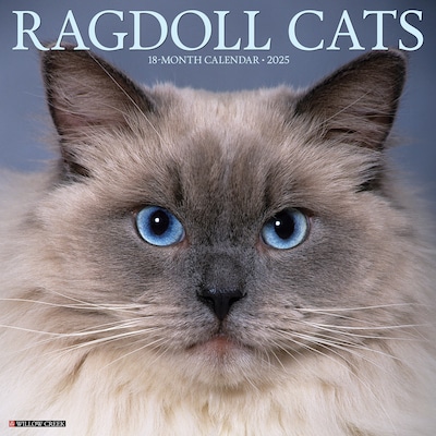 2025 Willow Creek Ragdoll Cats 12 x 12 Monthly Wall Calendar (44612)