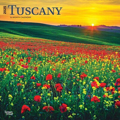 2025 BrownTrout Tuscany 12 x 12 Monthly Wall Calendar (9781975476298)