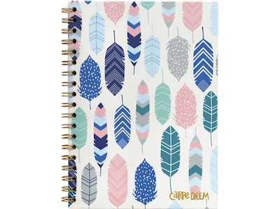Carpe Diem Feathers 1-Subject Notebook, 7.5 x 9.75, Wide-Ruled, 80 Sheets, Multicolor (9379-CD)