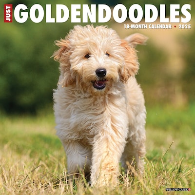 2025 Willow Creek Just Goldendoodles 12 x 12 Monthly Wall Calendar (43127)