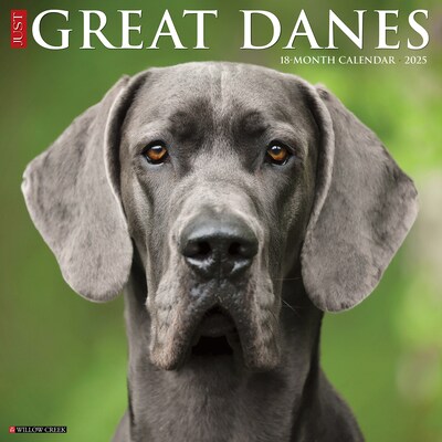 2025 Willow Creek Just Great Danes 12 x 12 Monthly Wall Calendar (43196)