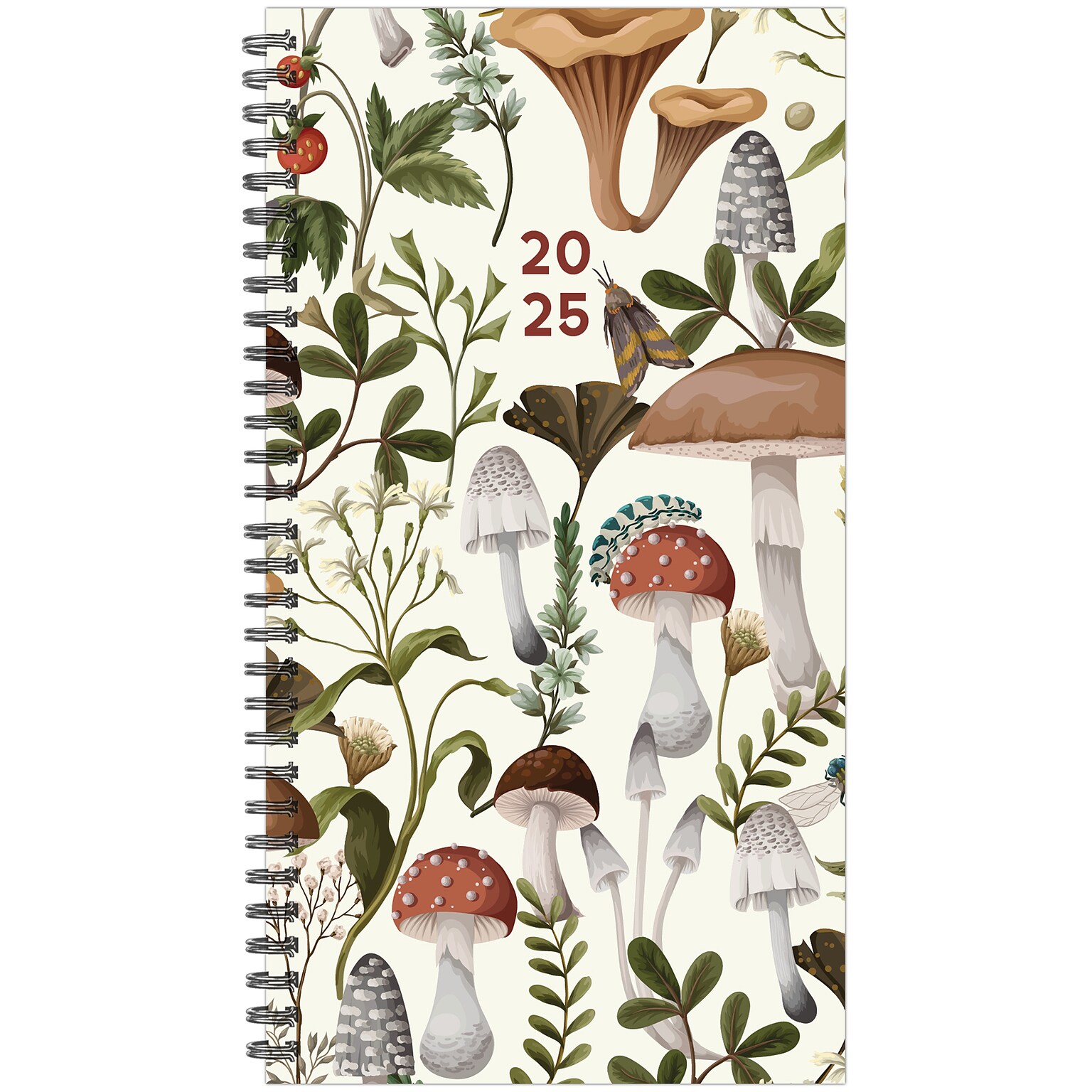 2025 Willow Creek 3.5 x 6.5 Weekly & Monthly Planner, Multicolored (48702)