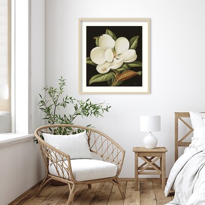 Amanti Art Magnolia Grandiflora 2003 by Jenny Barron Wood Framed Wall Art Print, 31 x 33 (A4267553