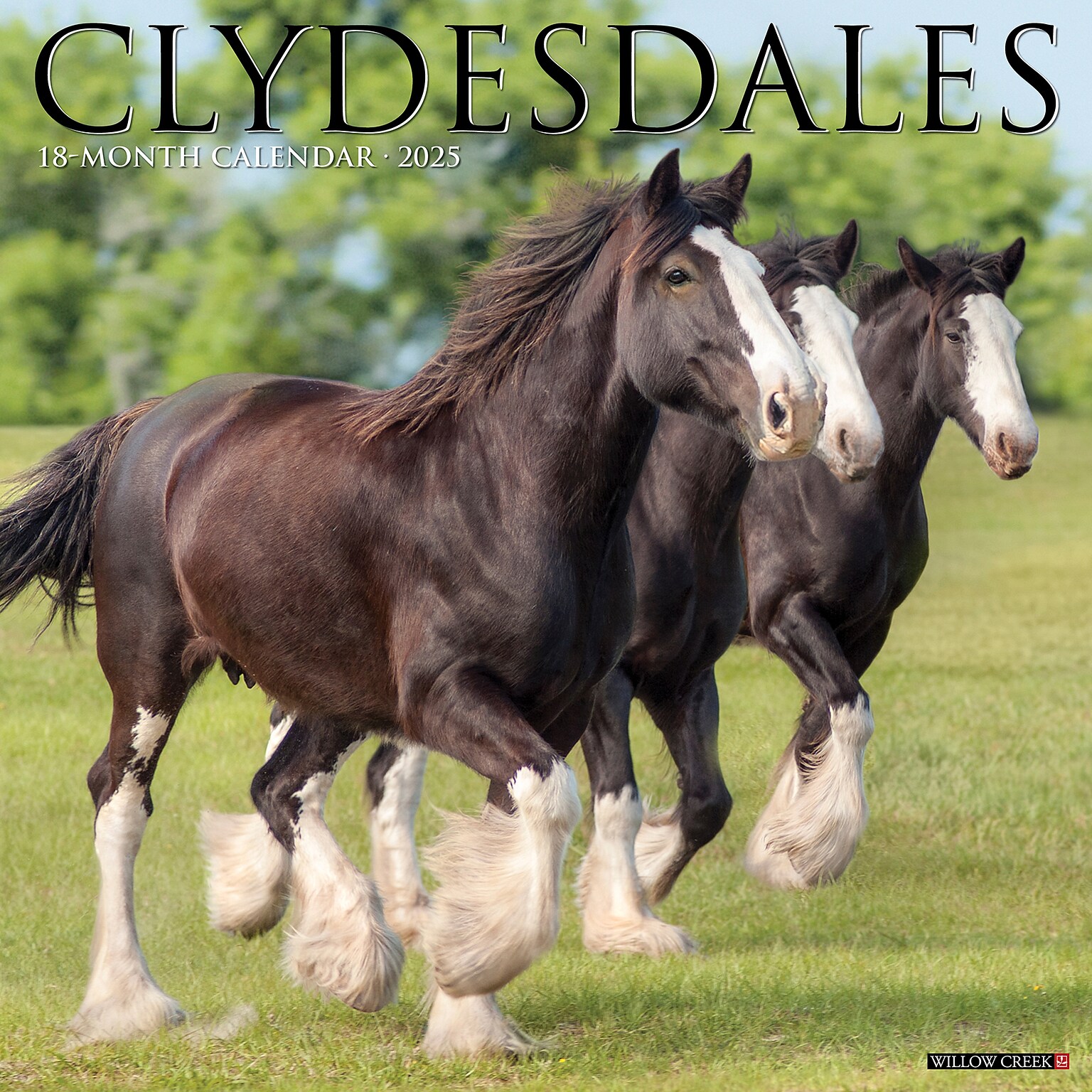 2025 Willow Creek Clydesdales 12 x 12 Monthly Wall Calendar (42489)