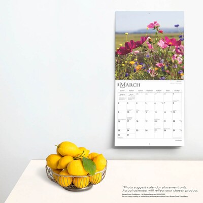 2025 BrownTrout Wildflowers 12" x 12" Monthly  Wall Calendar (9781975475949)