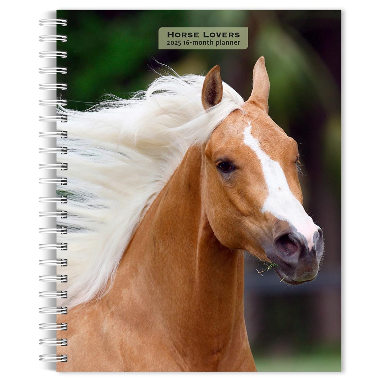 2025 BrownTrout Horse Lovers 6 x 7.75 Weekly Engagement Planner, Paper Cover, Multicolored (9781975473273)