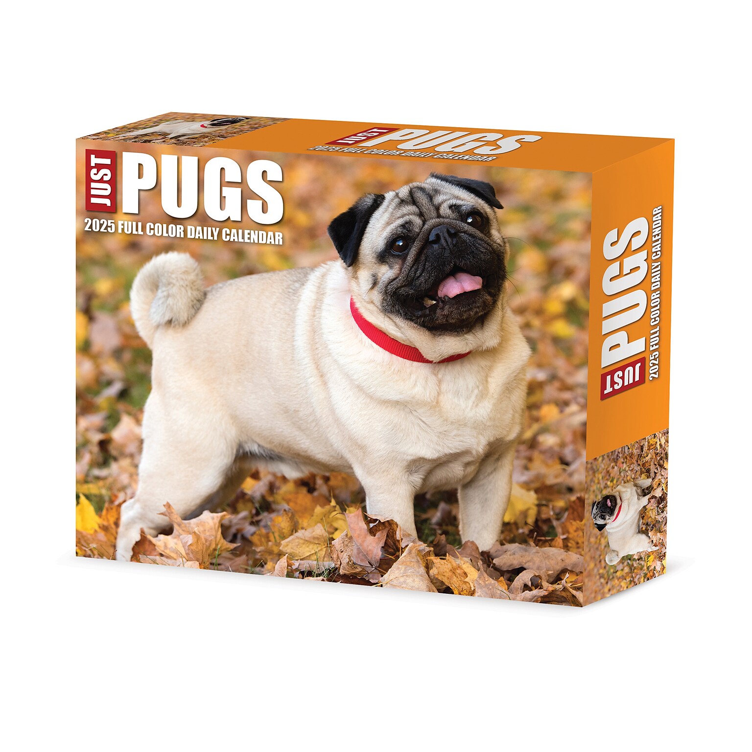 2025 Willow Creek Pugs 6 x 5.5 Day-to-Day Calendar (40997)