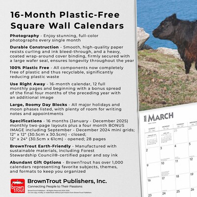 2025 BrownTrout Cows 12" x 12" Monthly  Wall Calendar (9781975476892)