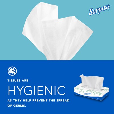 Surpass Standard Facial Tissue, 2-Ply, 100 Sheets/Box, 30 Boxes/Pack (21340)