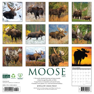 2025 Willow Creek Moose 12 x 12 Monthly Wall Calendar (44032)