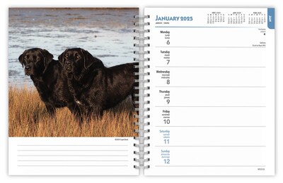 2025 BrownTrout Black Labrador Retrievers 6" x 7.75" Weekly Engagement Planner, Paper Cover, Multicolored (9781975473235)