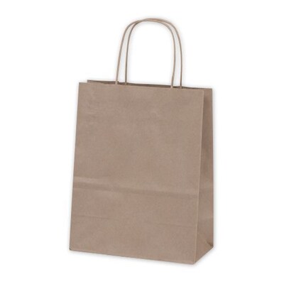 Kraft Paper 8-1/4W x 4-3/4D x 10-1/2H Cub Shopper Bags, Kraft, 250/Pack